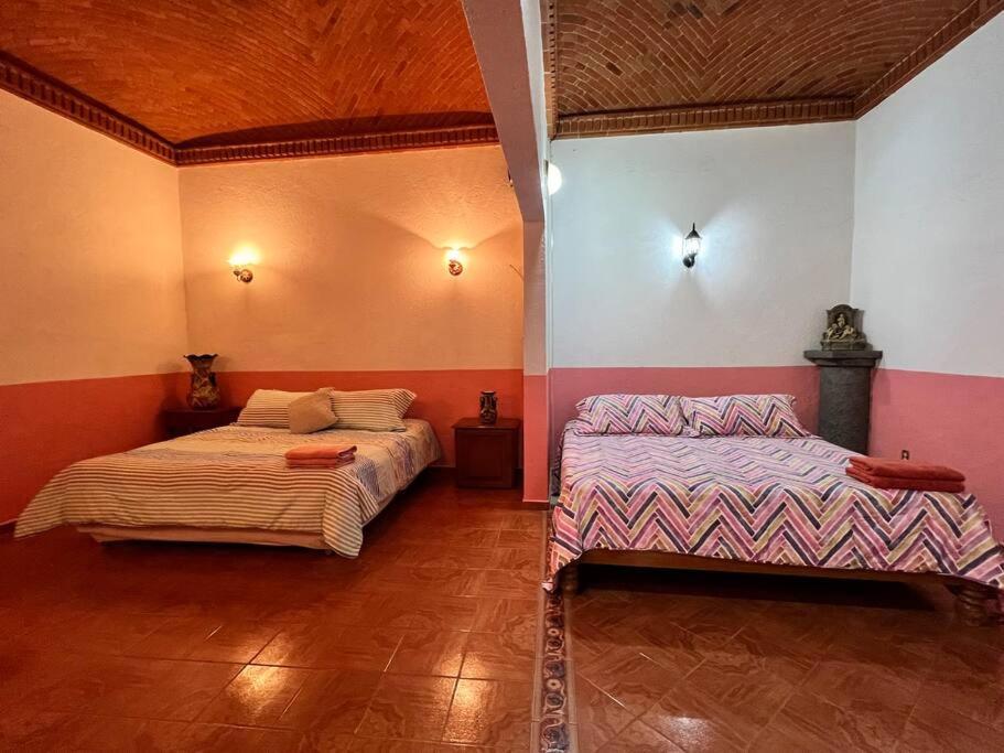Olivos Habitacion Cuadruple تيكيسكيابان المظهر الخارجي الصورة